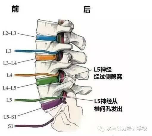 ag电竞官网